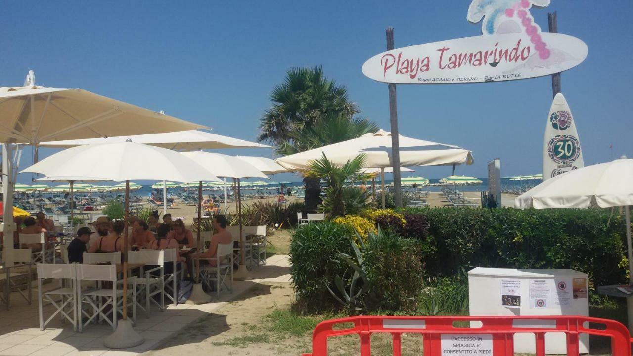 Domus Maris Viserba, Spiagge E Centro A 100 Mt, Promo Maggio Fiera Macfrut, Fieravicola, Expo Dental, Meeting Rimini Exteriör bild